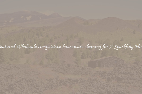 Featured Wholesale competitive houseware cleaning for A Sparkling Floor