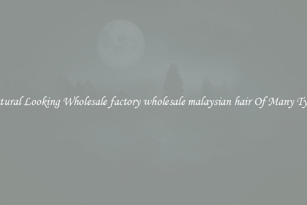 Natural Looking Wholesale factory wholesale malaysian hair Of Many Types