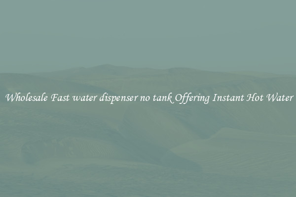 Wholesale Fast water dispenser no tank Offering Instant Hot Water