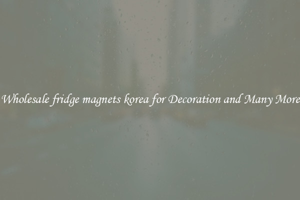Wholesale fridge magnets korea for Decoration and Many More