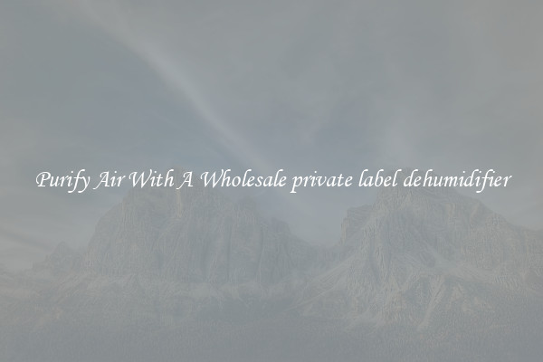 Purify Air With A Wholesale private label dehumidifier