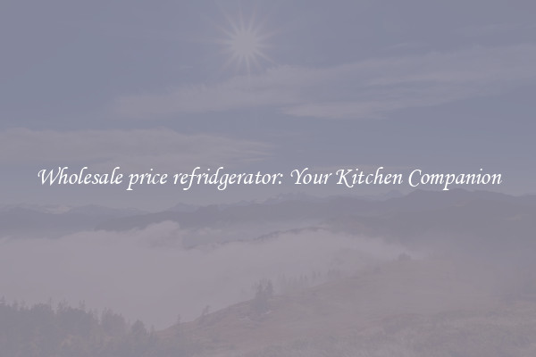 Wholesale price refridgerator: Your Kitchen Companion