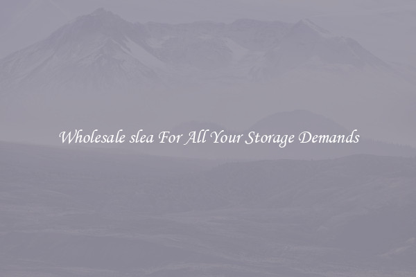 Wholesale slea For All Your Storage Demands