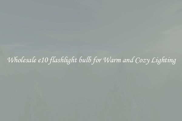 Wholesale e10 flashlight bulb for Warm and Cozy Lighting
