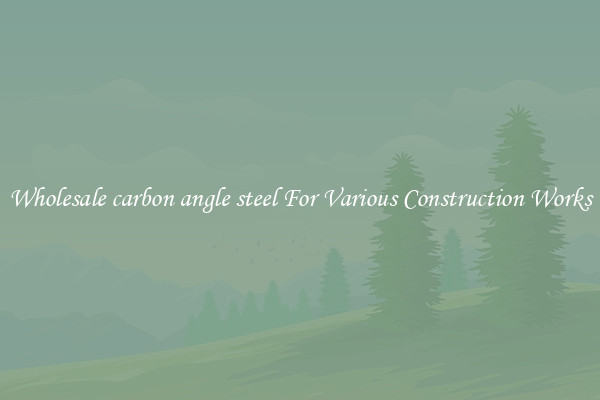 Wholesale carbon angle steel For Various Construction Works