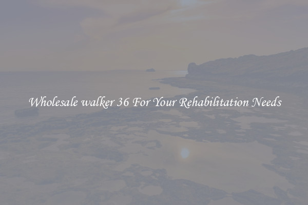 Wholesale walker 36 For Your Rehabilitation Needs