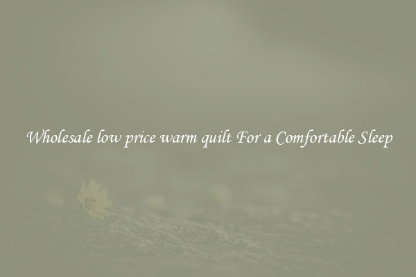 Wholesale low price warm quilt For a Comfortable Sleep