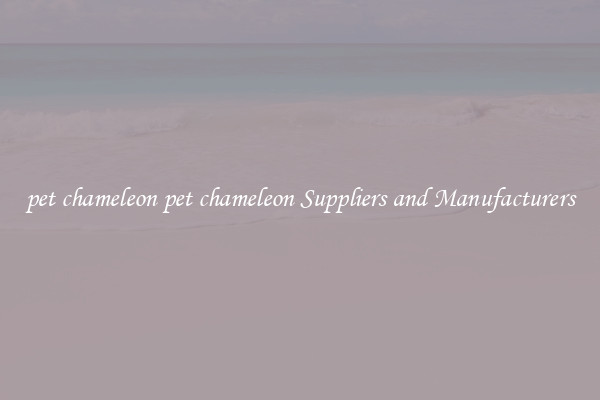 pet chameleon pet chameleon Suppliers and Manufacturers