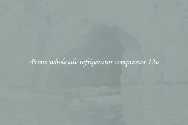 Prime wholesale refrigerator compressor 12v