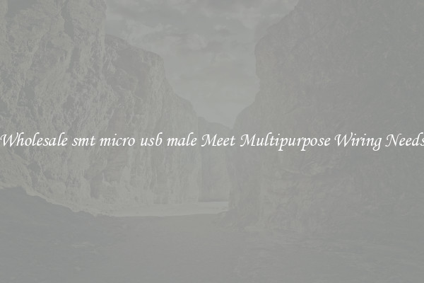 Wholesale smt micro usb male Meet Multipurpose Wiring Needs
