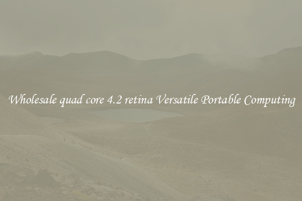 Wholesale quad core 4.2 retina Versatile Portable Computing