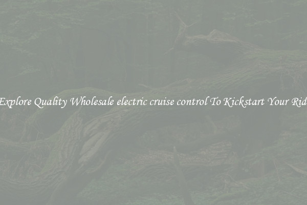 Explore Quality Wholesale electric cruise control To Kickstart Your Ride