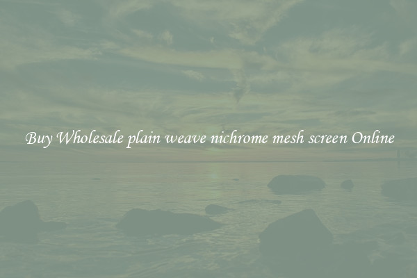 Buy Wholesale plain weave nichrome mesh screen Online