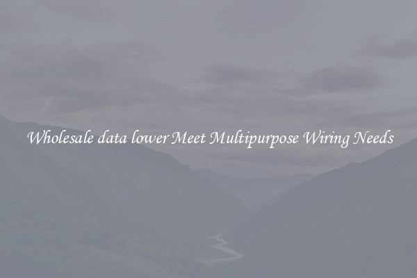 Wholesale data lower Meet Multipurpose Wiring Needs